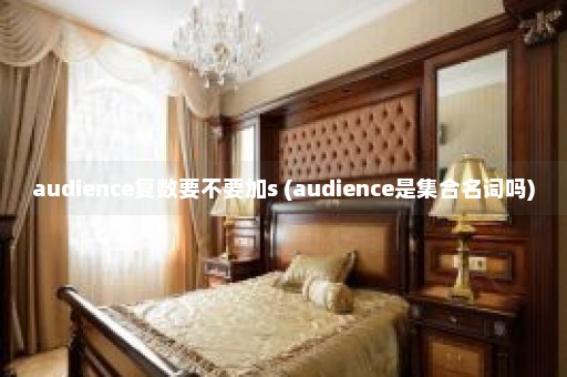 audience复数要不要加s (audience是集合名词吗)