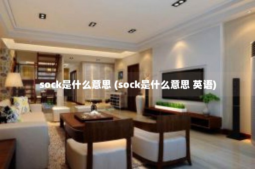 sock是什么意思 (sock是什么意思 英语)