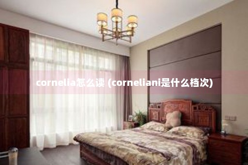 cornelia怎么读 (corneliani是什么档次)