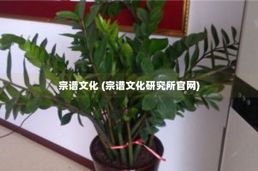 宗谱文化 (宗谱文化研究所官网)