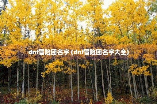 dnf冒险团名字 (dnf冒险团名字大全)