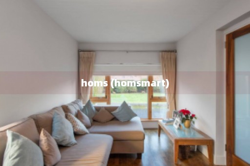 homs (homsmart)