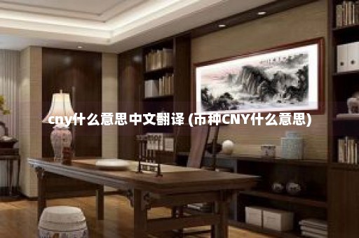 cny什么意思中文翻译 (币种CNY什么意思)