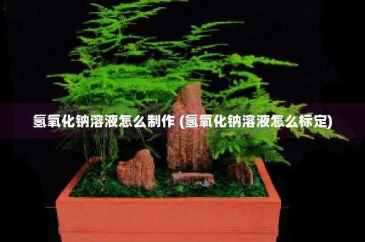 氢氧化钠溶液怎么制作 (氢氧化钠溶液怎么标定)