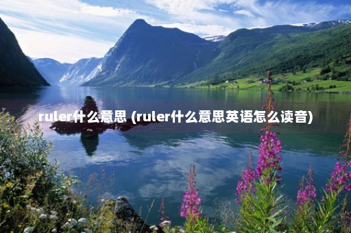 ruler什么意思 (ruler什么意思英语怎么读音)