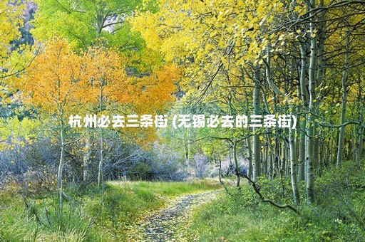 杭州必去三条街 (无锡必去的三条街)