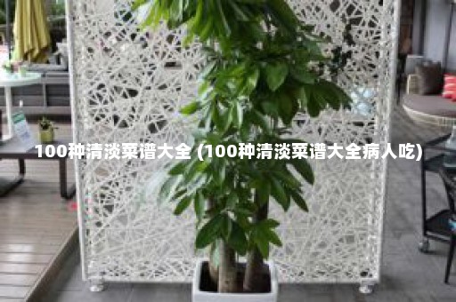 100种清淡菜谱大全 (100种清淡菜谱大全病人吃)