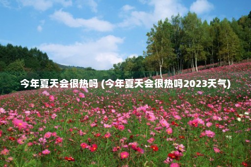 今年夏天会很热吗 (今年夏天会很热吗2023天气)