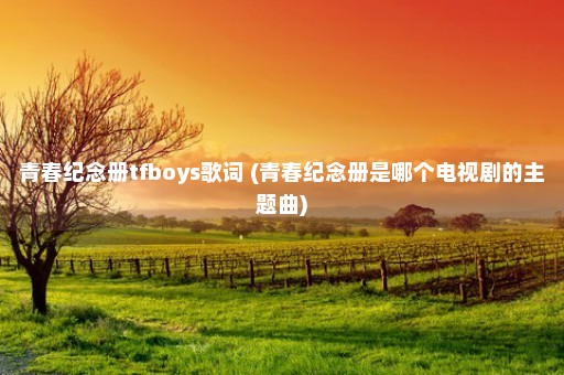 青春纪念册tfboys歌词 (青春纪念册是哪个电视剧的主题曲)