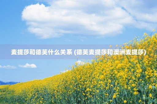 麦提莎和德芙什么关系 (德芙麦提莎和澳洲麦提莎)