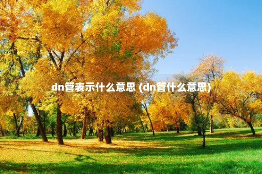 dn管表示什么意思 (dn管什么意思)