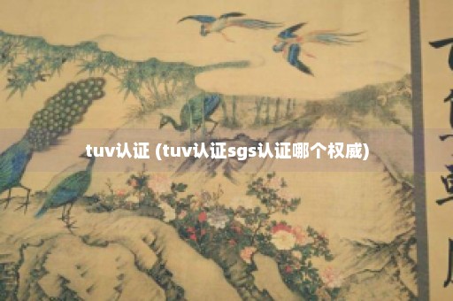 tuv认证 (tuv认证sgs认证哪个权威)