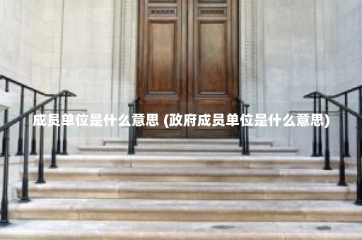 成员单位是什么意思 (政府成员单位是什么意思)