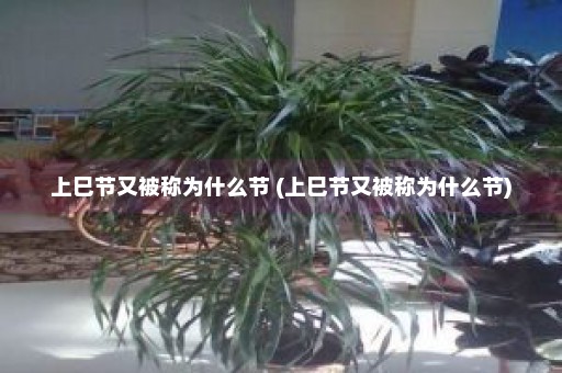 上巳节又被称为什么节 (上巳节又被称为什么节)