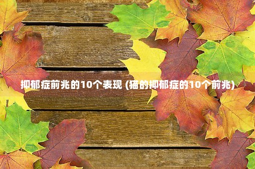 抑郁症前兆的10个表现 (猫的抑郁症的10个前兆)