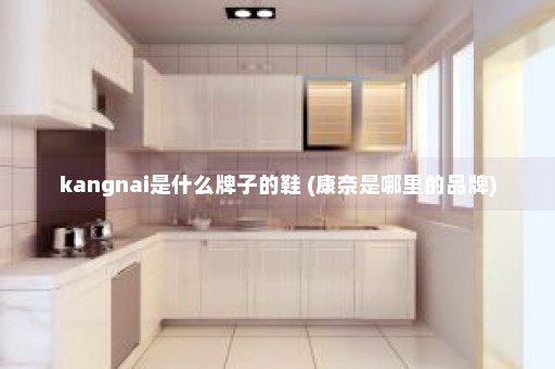 kangnai是什么牌子的鞋 (康奈是哪里的品牌)