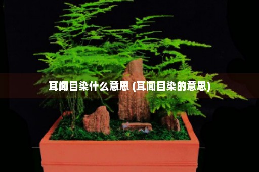 耳闻目染什么意思 (耳闻目染的意思)