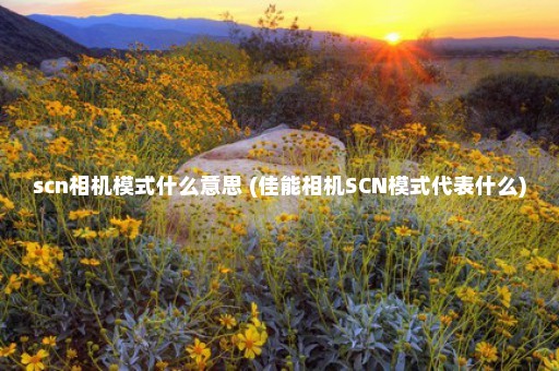 scn相机模式什么意思 (佳能相机SCN模式代表什么)