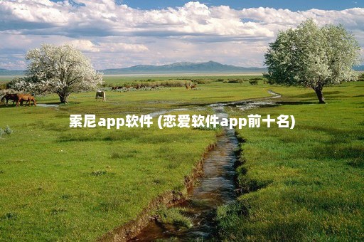 索尼app软件 (恋爱软件app前十名)