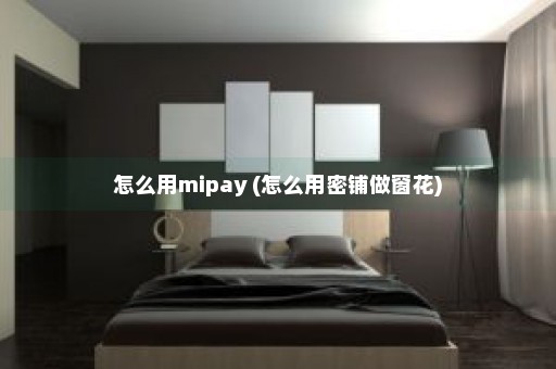 怎么用mipay (怎么用密铺做窗花)