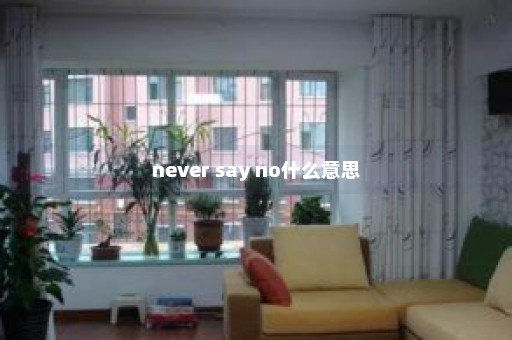 never say no什么意思