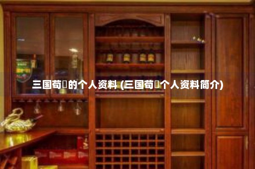 三国荀彧的个人资料 (三国荀彧个人资料简介)