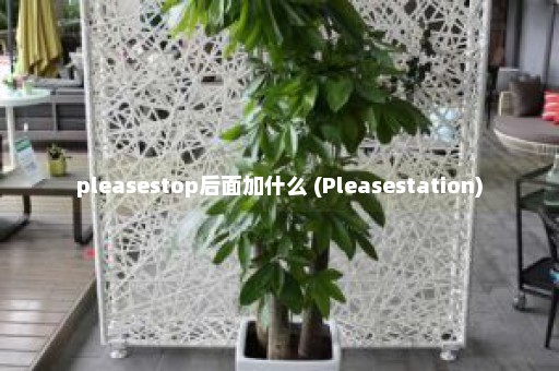 pleasestop后面加什么 (Pleasestation)