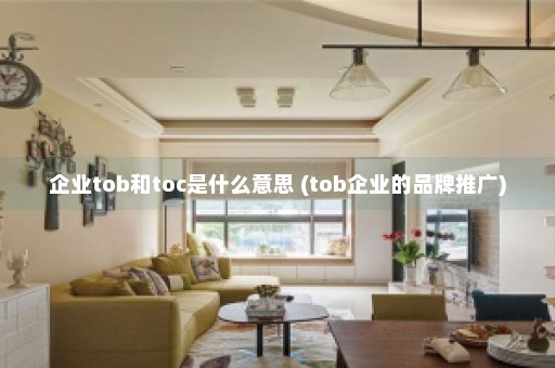 企业tob和toc是什么意思 (tob企业的品牌推广)