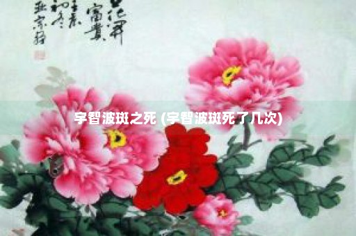 宇智波斑之死 (宇智波斑死了几次)