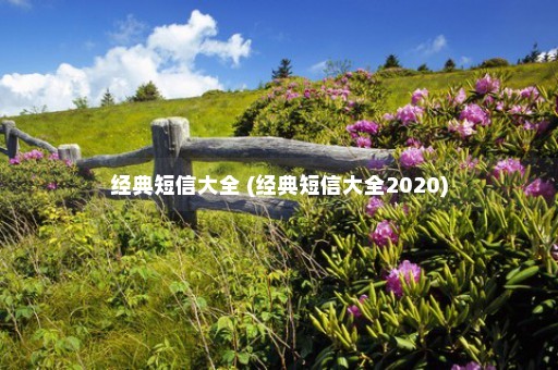 经典短信大全 (经典短信大全2020)