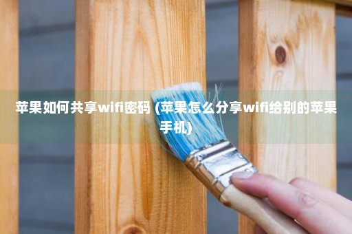 苹果如何共享wifi密码 (苹果怎么分享wifi给别的苹果手机)