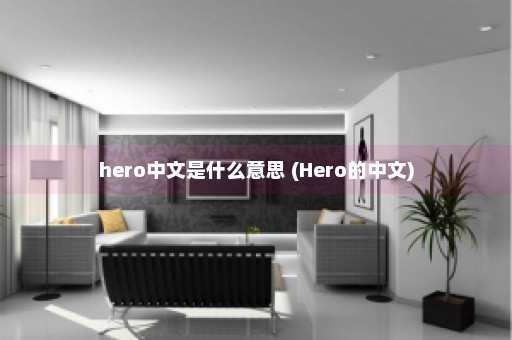 hero中文是什么意思 (Hero的中文)