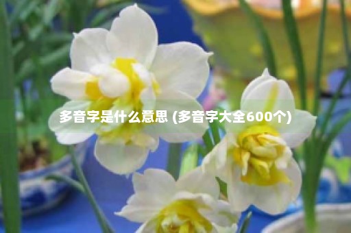 多音字是什么意思 (多音字大全600个)