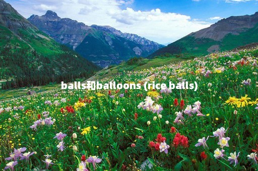 balls和balloons (rice balls)