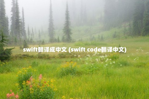 swift翻译成中文 (swift code翻译中文)