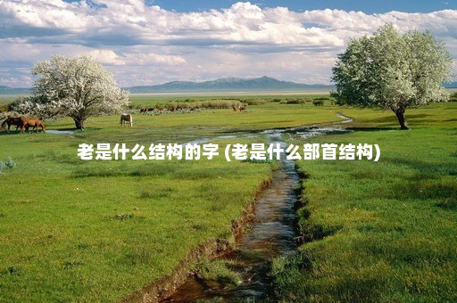 老是什么结构的字 (老是什么部首结构)