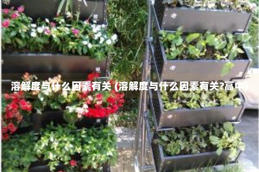 溶解度与什么因素有关 (溶解度与什么因素有关?高中)