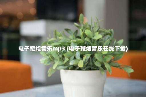 电子鞭炮音乐mp3 (电子鞭炮音乐在线下载)