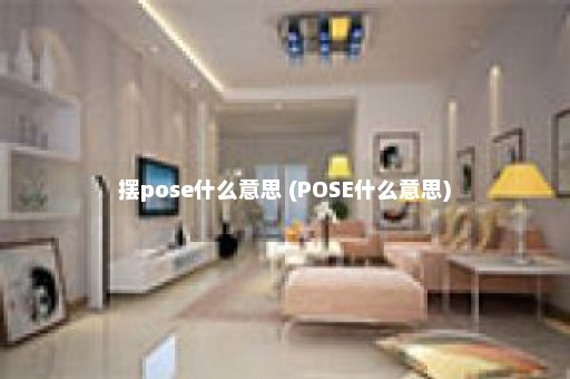 摆pose什么意思 (POSE什么意思)