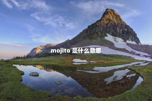 mojito 是什么意思