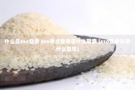 什么是sso登录 sso单点登录是什么意思 (sso登录失败什么意思)