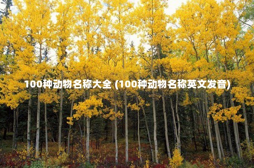 100种动物名称大全 (100种动物名称英文发音)