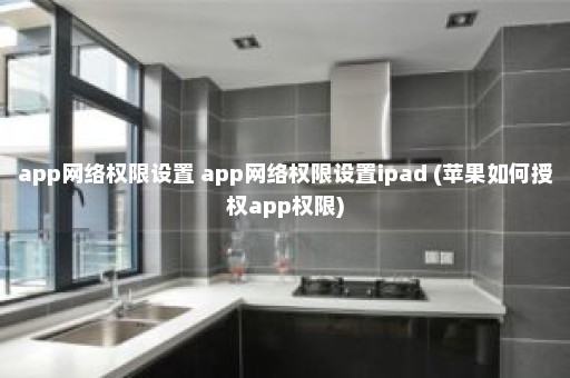 app网络权限设置 app网络权限设置ipad (苹果如何授权app权限)