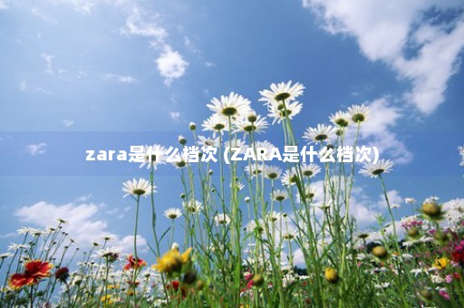 zara是什么档次 (ZARA是什么档次)