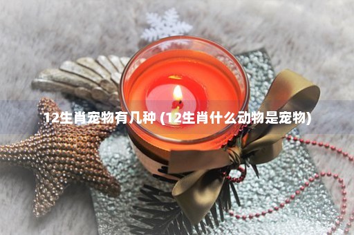 12生肖宠物有几种 (12生肖什么动物是宠物)