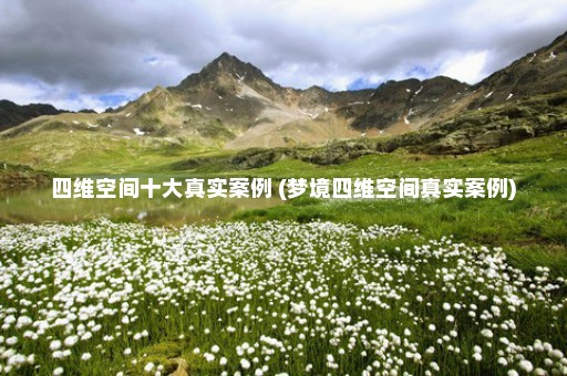 四维空间十大真实案例 (梦境四维空间真实案例)