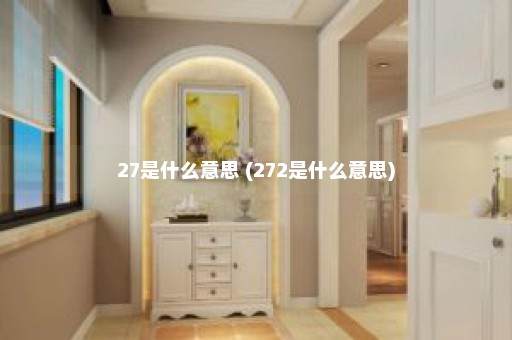 27是什么意思 (272是什么意思)