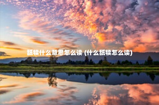 舐犊什么意思怎么读 (什么舐犊怎么读)