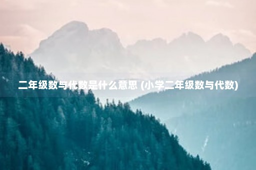 二年级数与代数是什么意思 (小学二年级数与代数)