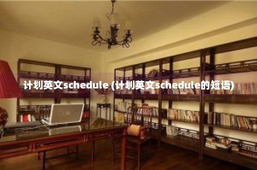 计划英文schedule (计划英文schedule的短语)